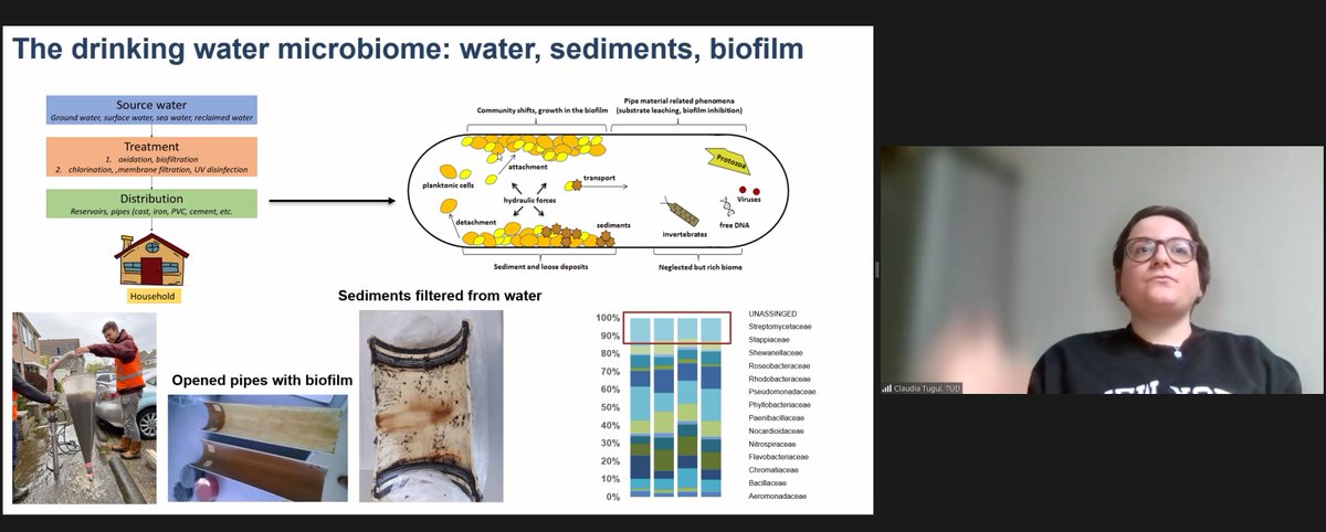 TheAsellus's tweet photo. @ClaudiaTugui on using metaproteomics to study the microbiome of #asellus in drinking water pipes | #asellussymposium https://t.co/8DriiWEVZx