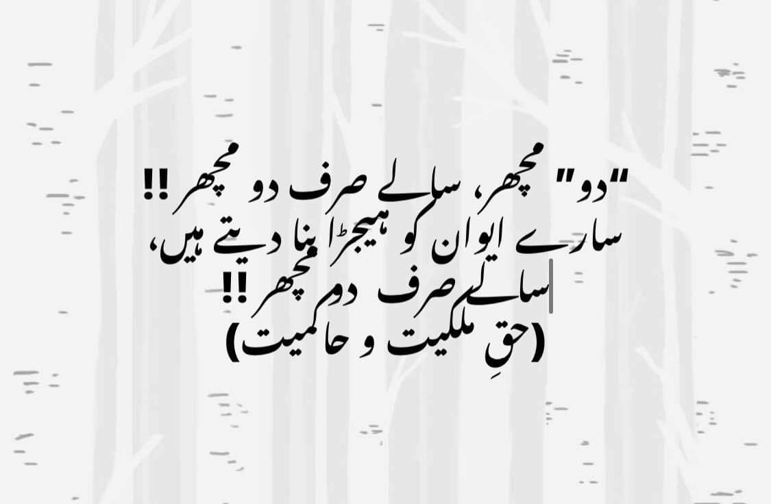 bilalsharadar's tweet photo. Reject Khalisa Sarkar and this land belongs to us and we are the real owners!!

 #Reject_Khalisa_Sarkar https://t.co/KYaMLqr9X5