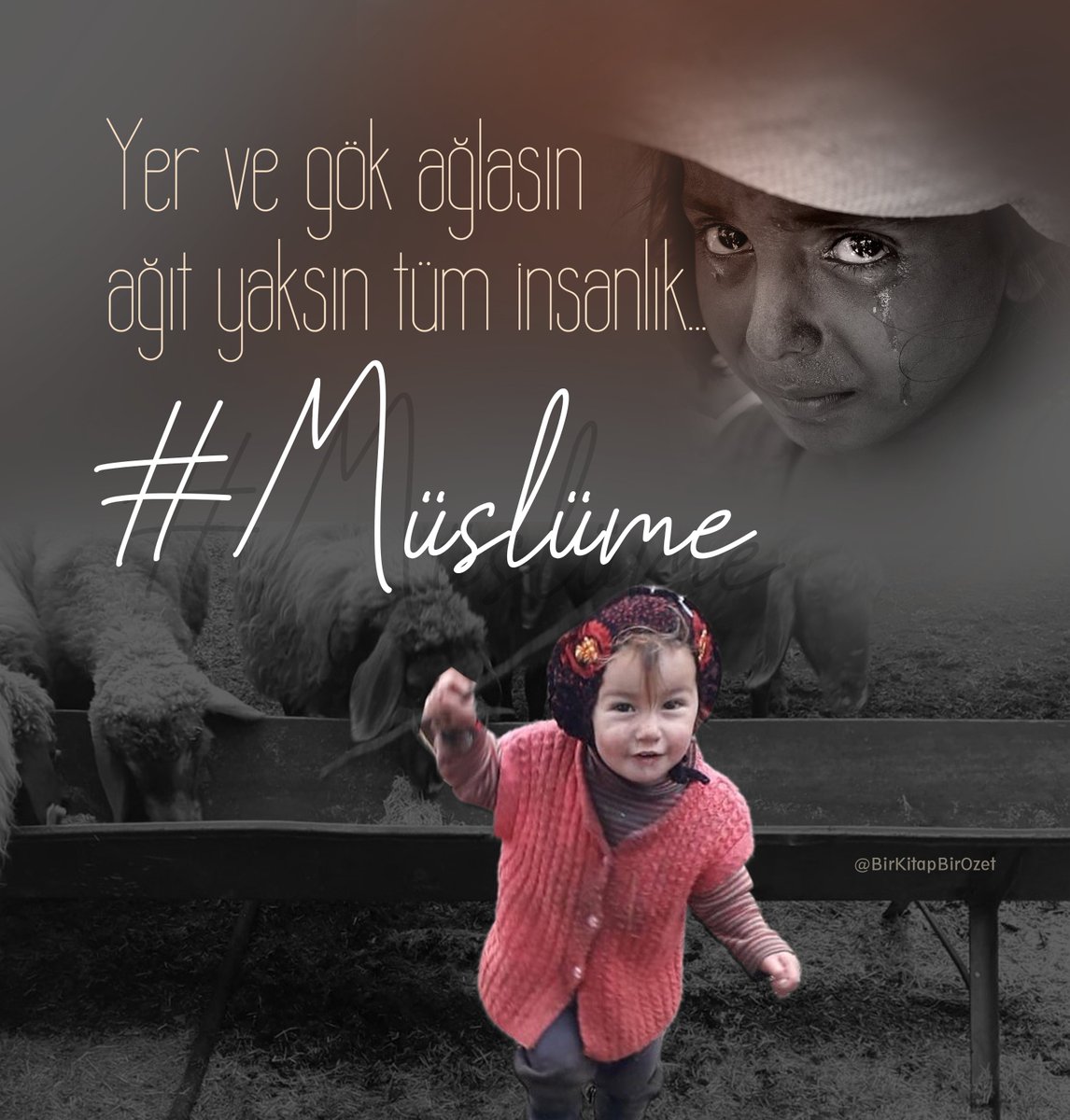 yer ve gök ağlasın.... #müslüme....