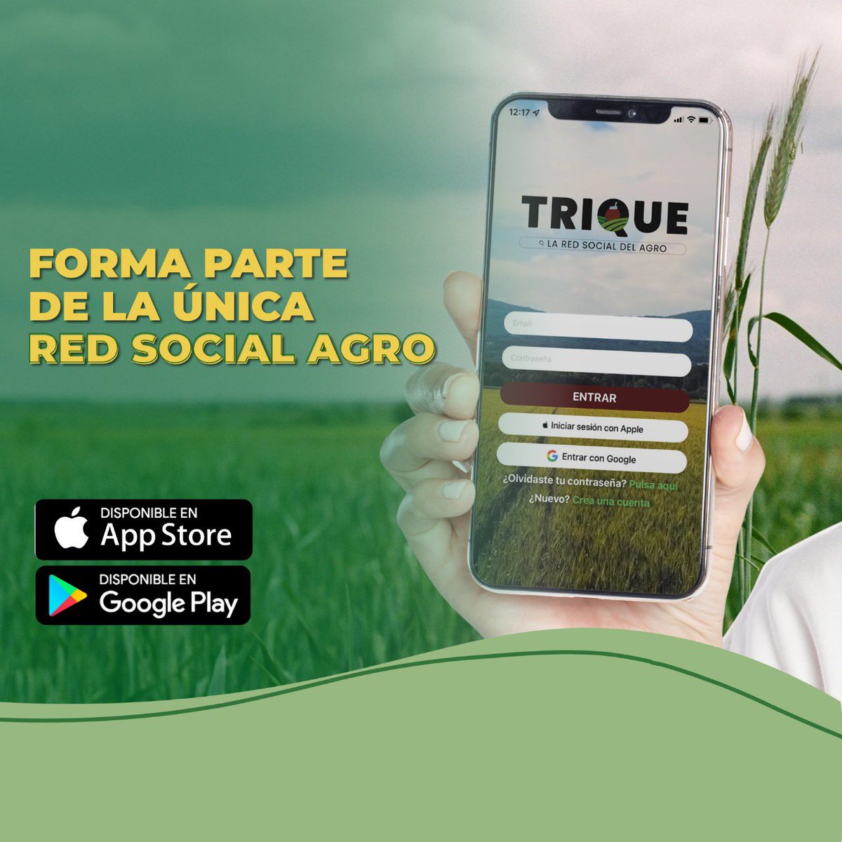 TriqueApp's tweet photo. Buenos días Triquer@s ✨🧉 cómo andan por ahí ?
Les venimos con una recomendación si aún no forman parte de esta comunidad ✨ #Trique https://t.co/4tZ60hUK1f