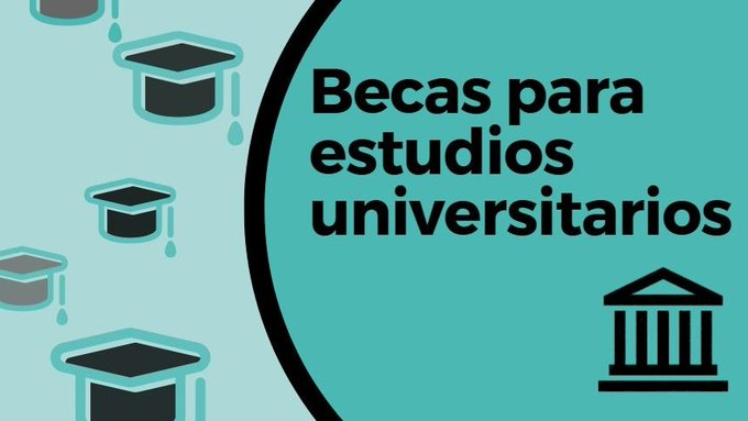 012Gobcan's tweet photo. 👩‍🎓🧑‍🎓Ya está publicada la primera lista provisional de #becas para #estudios #universitarios curso 2021-2022. Plazo de subsanación y alegaciones hasta el 14/12 https://t.co/84umJKALiS https://t.co/r2KAhvHEPP