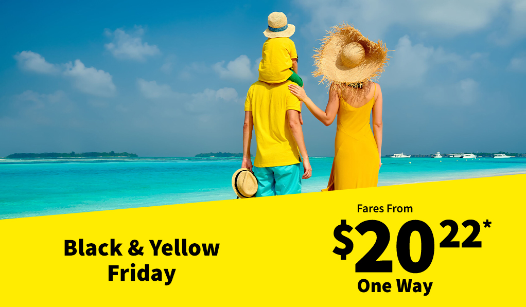 Viva ¡Vuela Más! on X: @SpiritAirlines Because we want you to fly back  home ✈️💛… you have 20%* discount to all Viva flights from Orlando & Miami  Promo code: FLYBACKVIVA Buy only