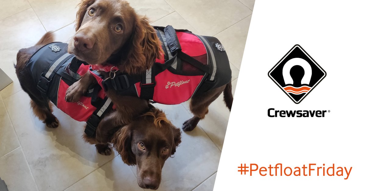 Meet Father and Son duo, Barney and Patch.  🐶🐶

“Barney had his life saved by one of Crewsaver’s Petfloats - he jumped off a boat before it stopped and went under. Barney popped out the other side of the boat 10 seconds later shaken, but floating and alive!” 

#PetfloatFriday
