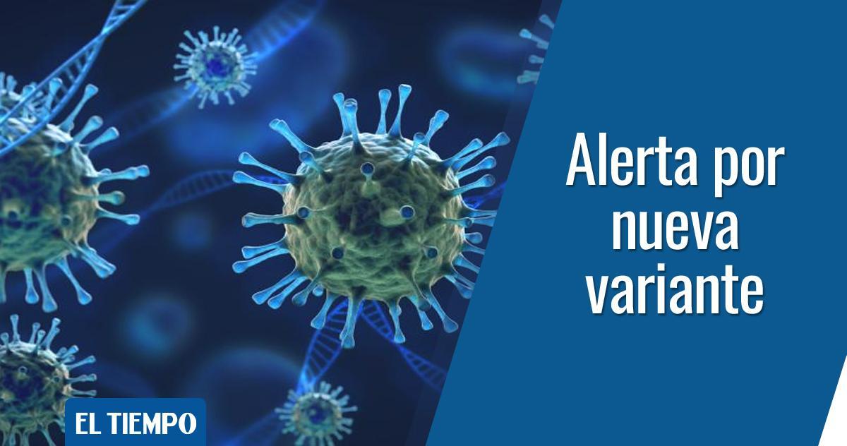 ELTIEMPO's tweet photo. 🚨 Gran alarma mundial se ha generado alrededor de una nueva variante del coronavirus descubierta en Sudáfrica y que preocupa a los científicos por la treintena de mutaciones que ha desarrollado.

Esto se sabe ► https://t.co/UpesIebXgq https://t.co/ihoP8hOZYt