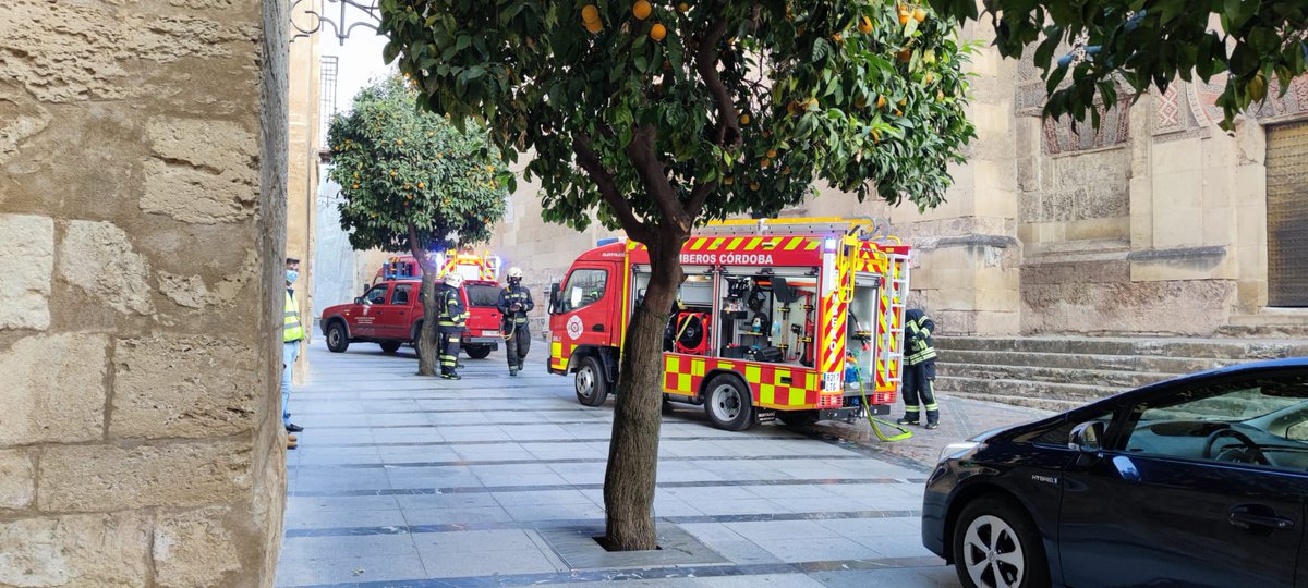 061Cordoba's tweet photo. Esta mañana se ha llevado a cabo un simulacro de incendio en la @mezq_catedral con la participación de @061Cordoba , @cordobafire , @policia y #PolicíaLocal de #Córdoba. https://t.co/6LbQmz0zt7
