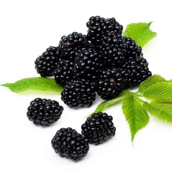 today's first fruit is fushiguro megumi from jujutsu kaisen! he's a blackberry :)
(requested by anon)