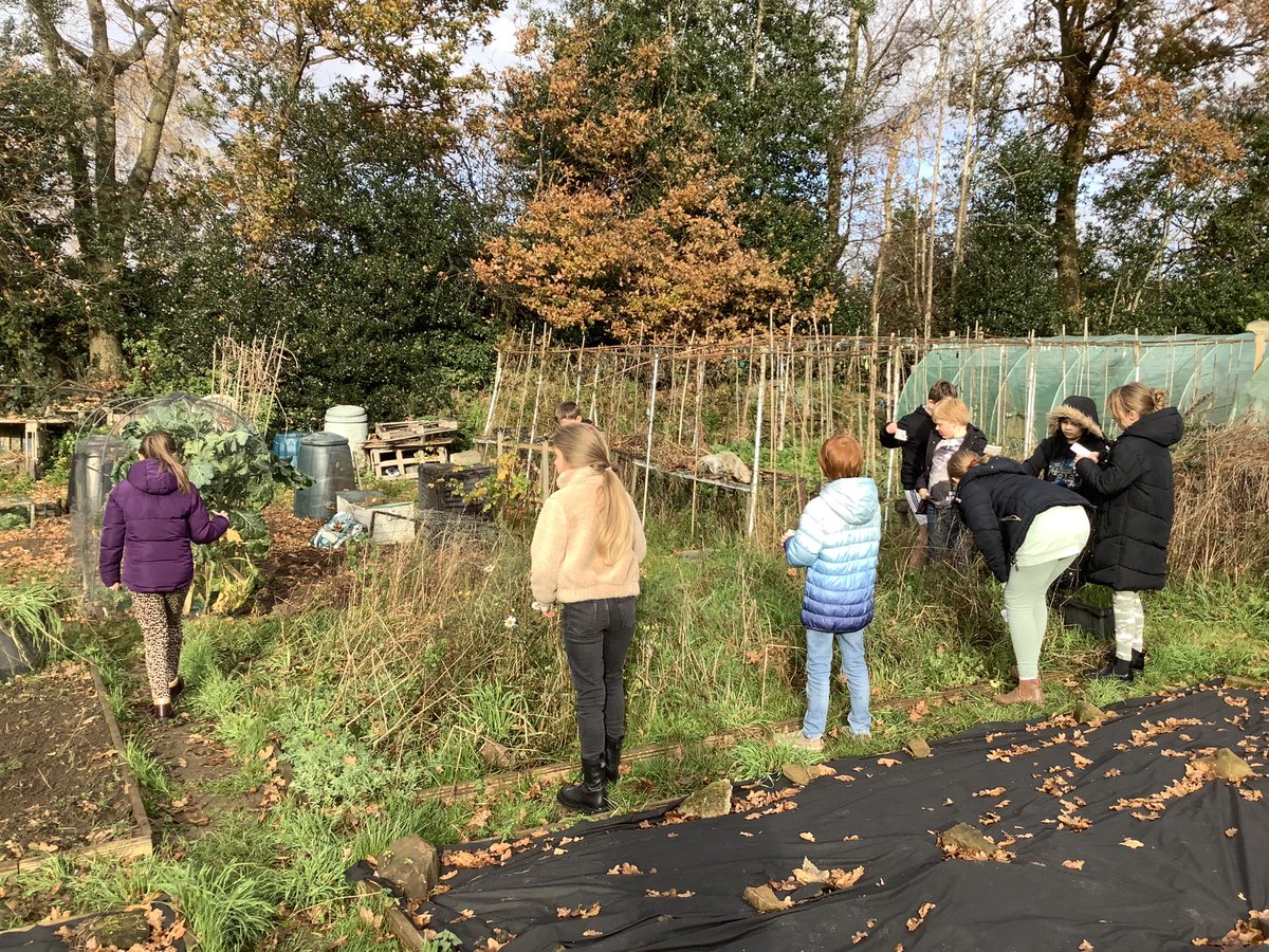 LeechpoolSchool's tweet photo. Year 5 had great fun planting some wild flower seeds as part of the #biffabees project to bring more bees and insects to the environment. We can’t wait to see them grow https://t.co/uk4cEJorET