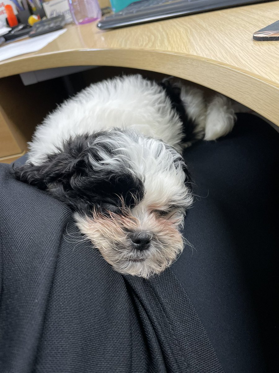 Charles Lawrence Surfaces Ltd tweet media