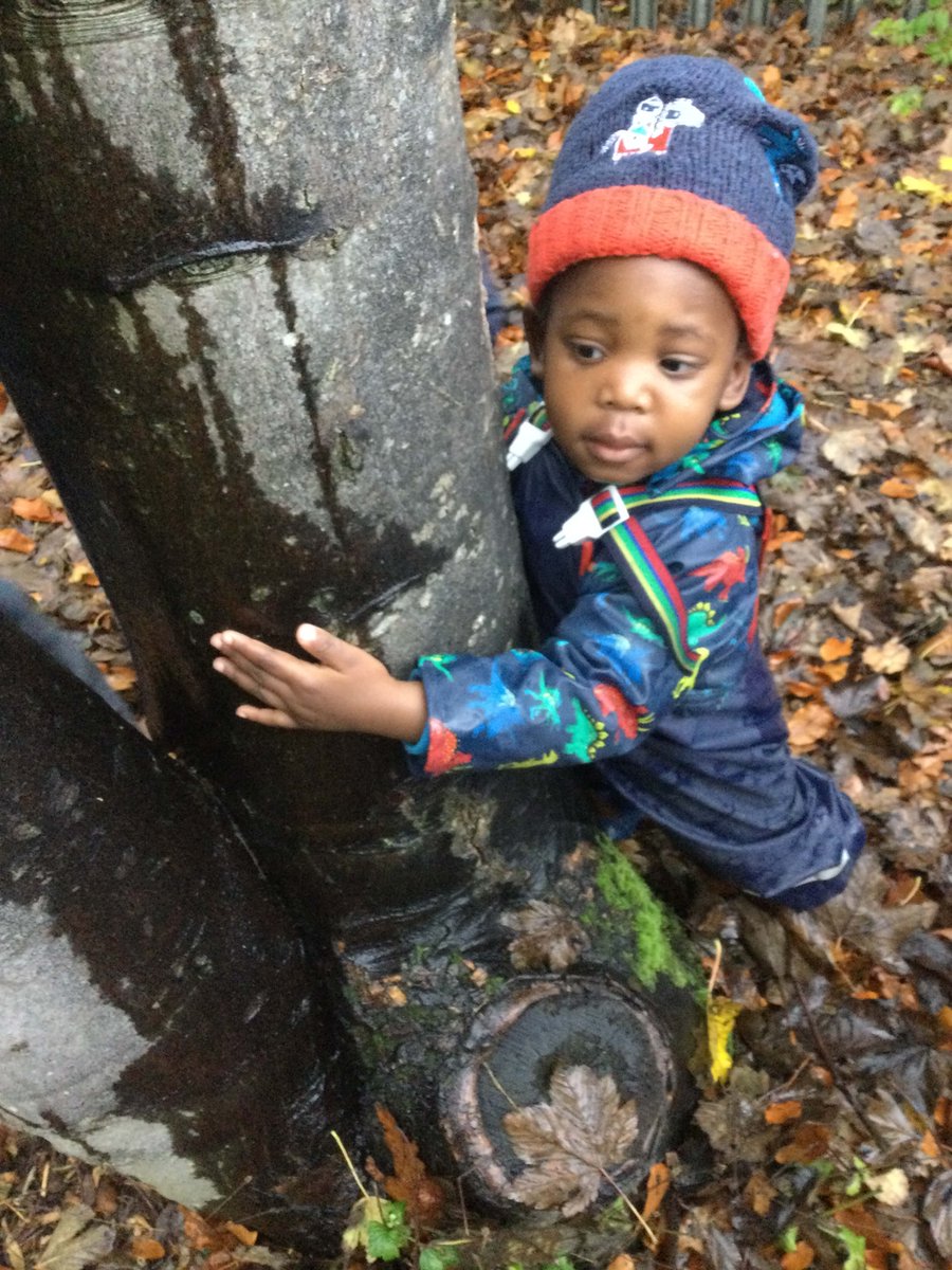 Nursery at Bolton School (BSPDNursery) Twitter