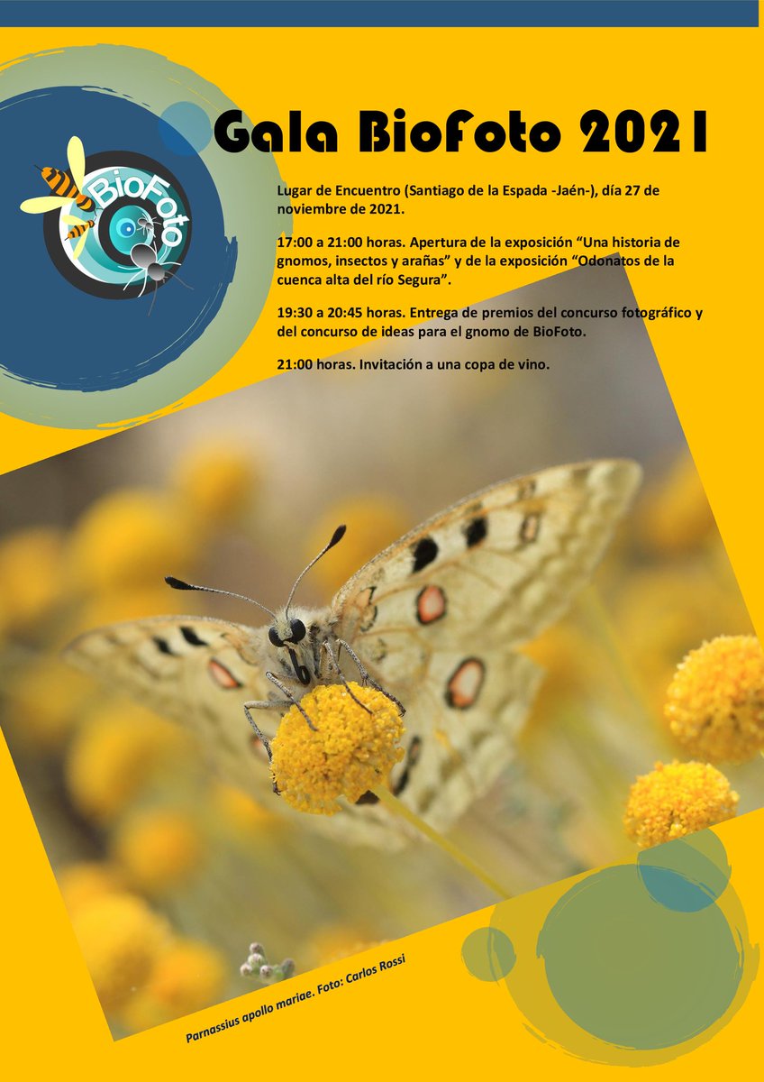 Mañana es la Gala Biofoto 2021 <a href="/biofoto3/">biofoto</a>. De entregarán los premios a las mejores fotografías entomológicas del PN de Cazorla, Segura y las Villas. Habrá exposiciones, talleres, sorpresas. Todo para poner en valor la esencial función de estos pequeños seres.