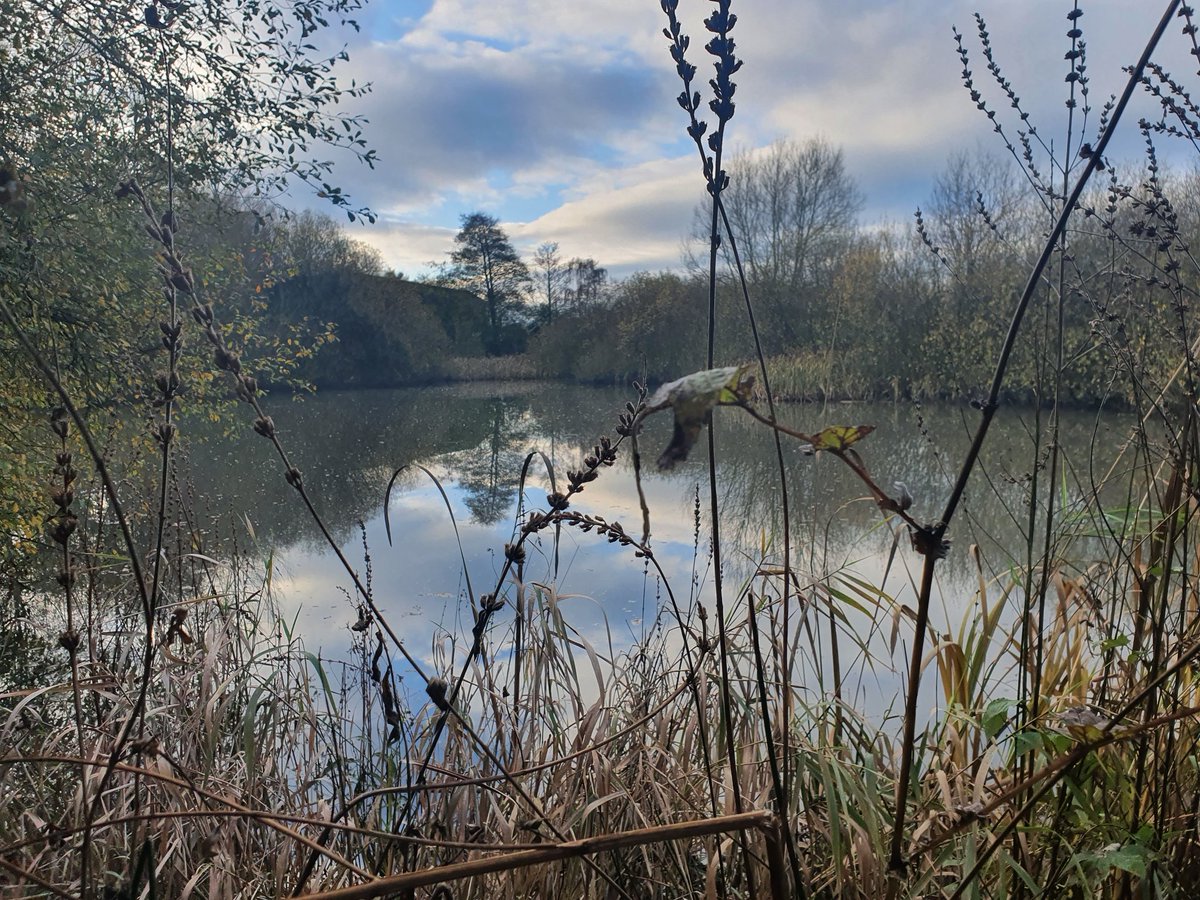 CAWR_CMU's tweet photo. Fabulous visit this week 2 see, first hand, the excellent @MontWildlife #WildSkillsWildSpaces ecotherapy project. The @CAWR_CMU evaluation team of @drdebbieclayton @p_sellars @ProfDiCrone on a site and data collection visit - plus we saw their new minibus with our logo on it! https://t.co/wSUEaIPbJu