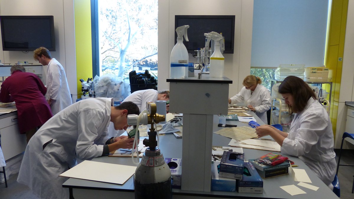 readingbotany's tweet photo. Herbarium skills from @RNGherb for @UniofReading @ReadingBioSci #MScSISS including preparing &amp; cataloguing specimens, must haves: herbarium paper (lots), glue (lots), weights (lots), corks (lots) &amp; waiting for it to dry (lots)! @eternalmagpie @BotanyRNG  @NHM_Botany @KewScience https://t.co/MQPN1jvVkr