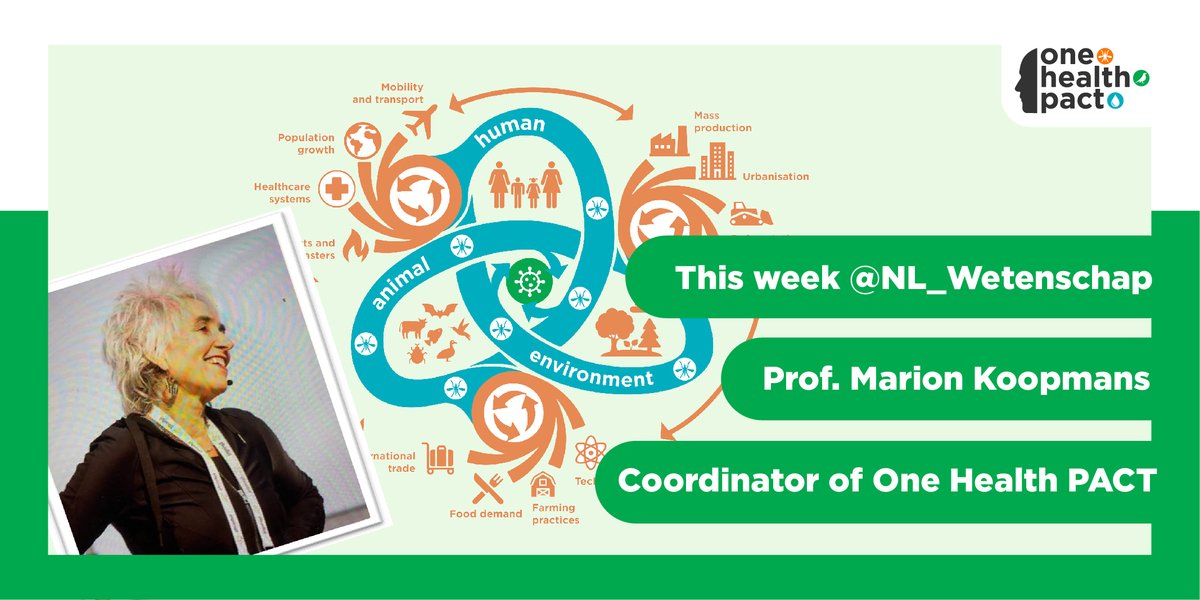 OneHealthPact's tweet photo. This week, Prof. @MarionKoopmans - coordinator of One Health Pact, takes over the account of @NL_Wetenschap! Want to know more about her life as a top #virologist during the corona pandemic? Read the tweets from last week! #ONEHEALTHPACT https://t.co/QcXwpykIMy