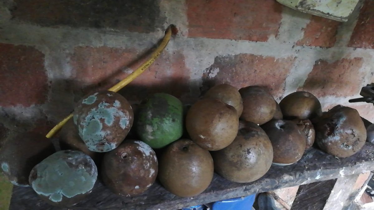 Alba Pinto tweet media