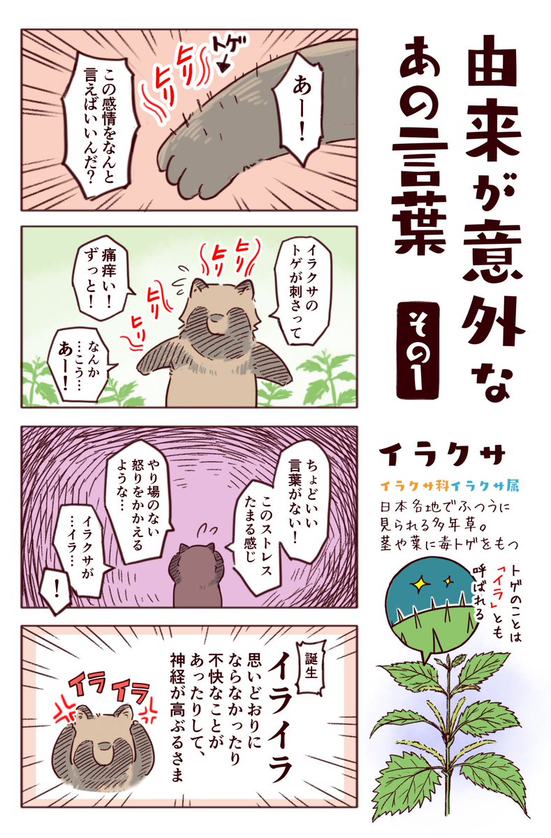 わいるどらいふっ!第195種
「あの言葉」の由来は植物だった?(諸説あります) 