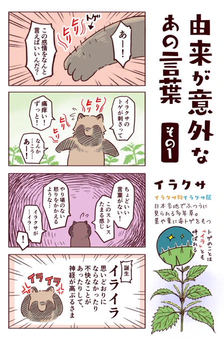 わいるどらいふっ!第195種「あの言葉」の由来は植物だった?(諸説あります) 