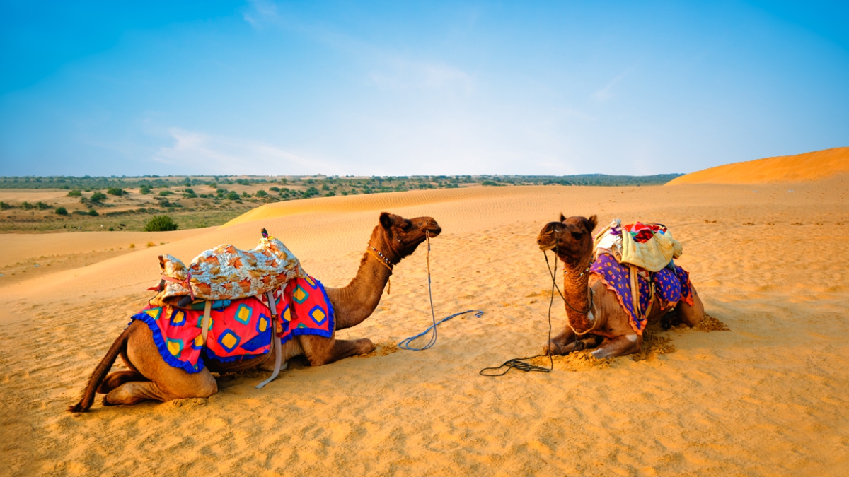 Rajasthan Tourism on Twitter: Rajasthan Tourism on Twitter: