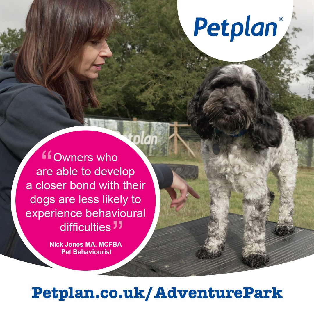 petplan behaviourist cover