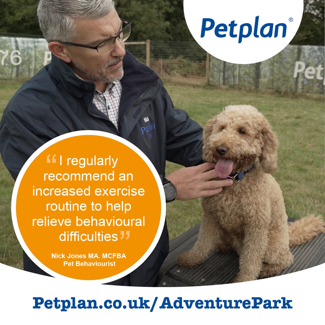 petplan behaviourist cover