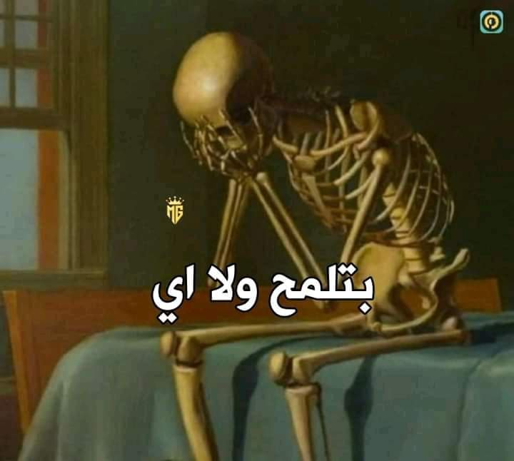 Sarcasm_Station's tweet photo. بعد 50سنه لما الكراش اللي بكراش عليها في صمت تيجي تتدفن جانبي 
انا: https://t.co/fJXLttDyRt