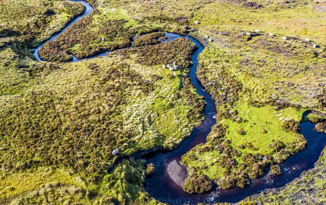 OrdnanceSurvey's tweet photo. Find out why any business focussing on #LandManagement, or important environment areas such as land use, habitat loss, vegetation health should talk to OS:

 https://t.co/SvFyiz3cKr  #EarthObservation #AI https://t.co/1mrtZlknlu