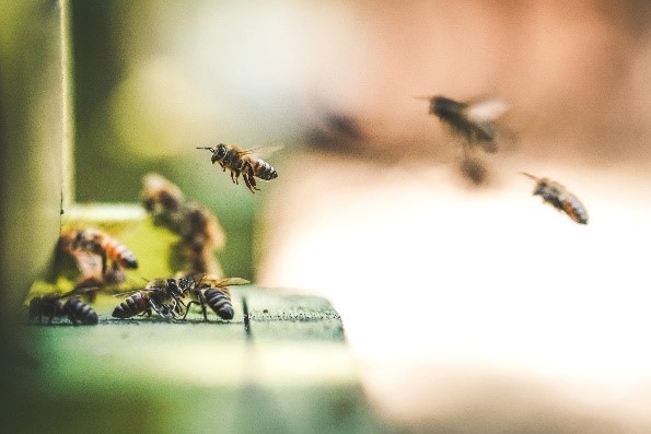 Think you’re too small to make a difference? Think like a bee! Every drop counts. Every bit matters. Do what you can, where you are, with what you have. WATCH: Think like a bee TED Conferences talk: lnkd.in/d2NFgdBs