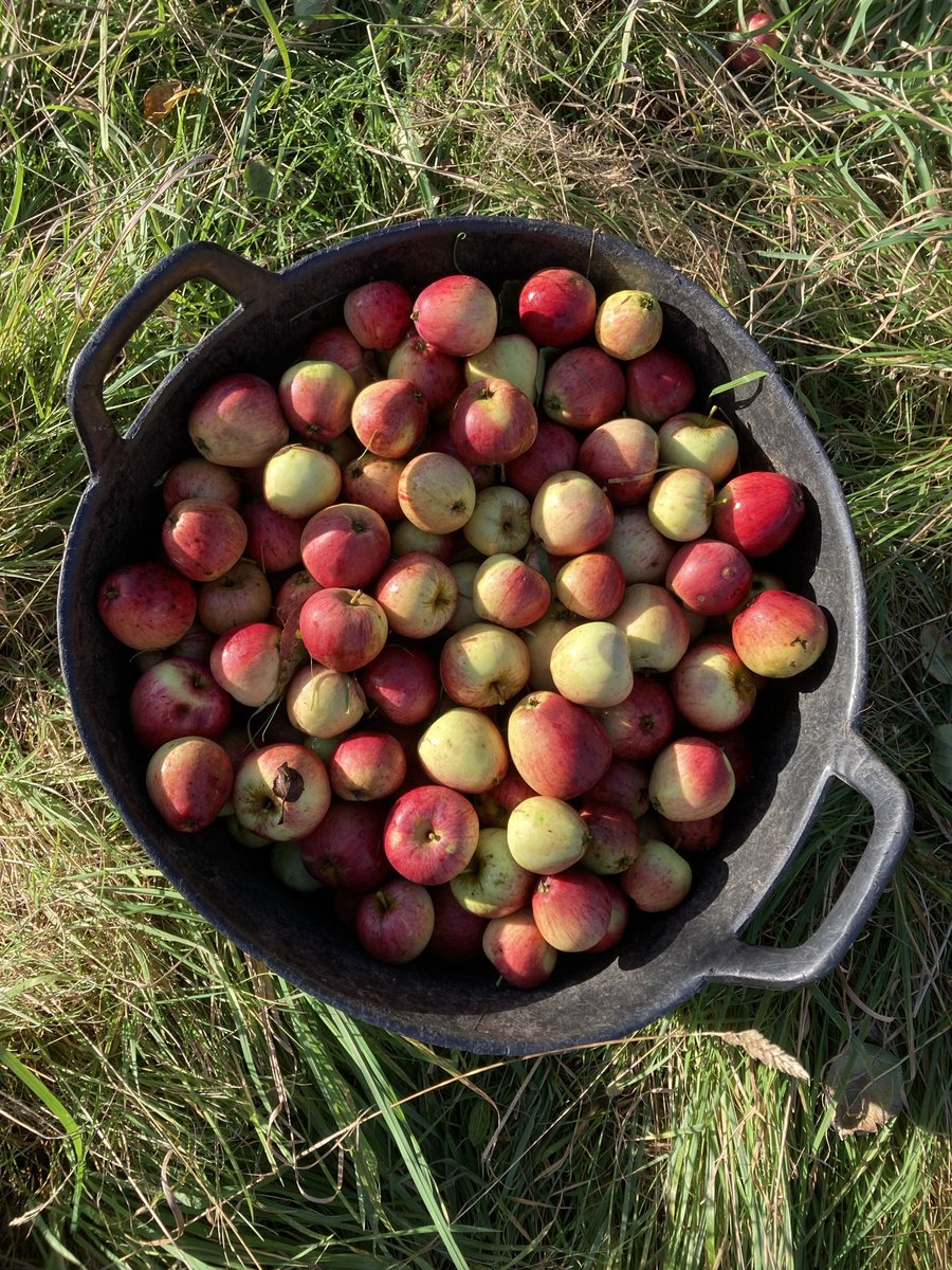 The Wild Cider Co tweet media