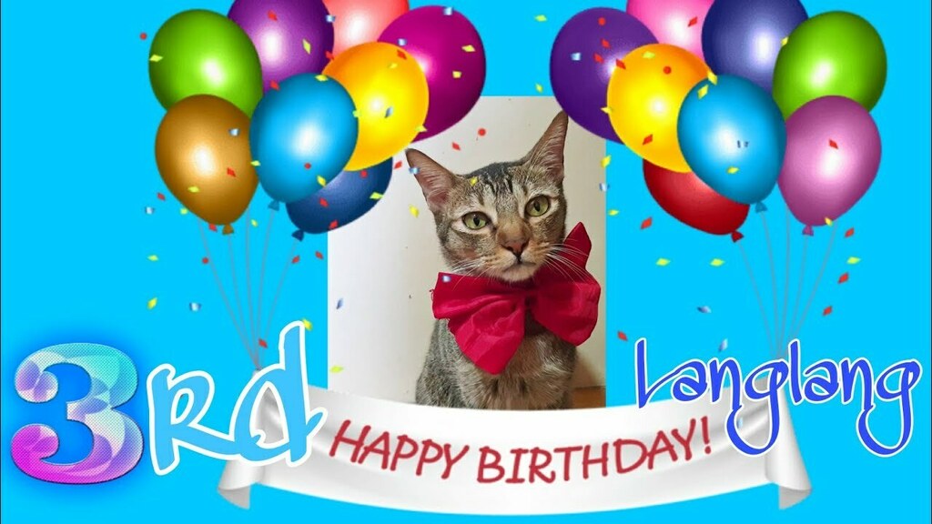 kittyxinfinity's tweet photo. 🐱 via https://t.co/480FQy0uls https://t.co/4PynRHRUxS