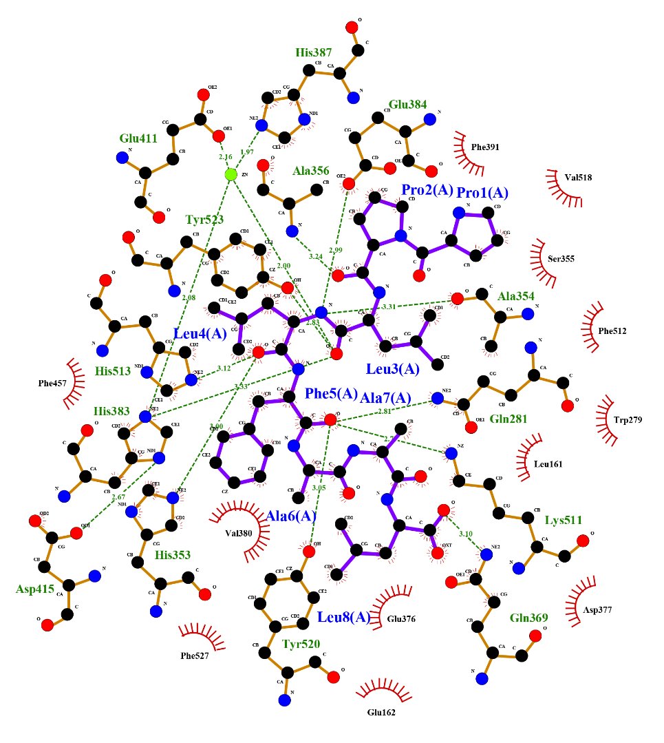 Marine_Drugs's tweet photo. #mdpiMarineDrugs New Article👏
🗞️A Novel Angiotensin-I-Converting #Enzyme (#ACE) Inhibitory #Peptide from Takifugu flavidus
🔗https://t.co/uoI5IfSCWM
#hydrolysis #inhibitory #MolecularDocking #chromatography #protease #antihypertensive https://t.co/KLWE0WZPHS
