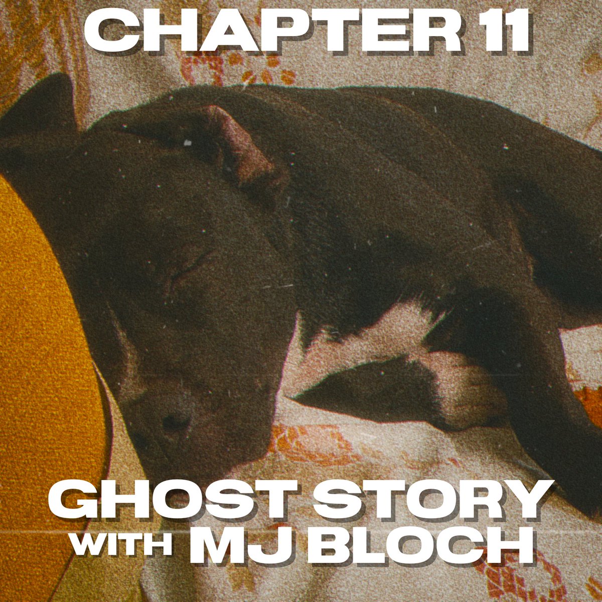 ReKindledPod's tweet photo. SURPRISE! #RekindledPod Chapter 11 with the absolutely delightful @MJBloch hits your feed early to make your Thanksgiving hangover that much sweeter! Listen wherever you get things to put in your ears!
#podcast #PodernFamily #BookTwitter #comedy #MJFriday https://t.co/tfIqi9MLbQ
