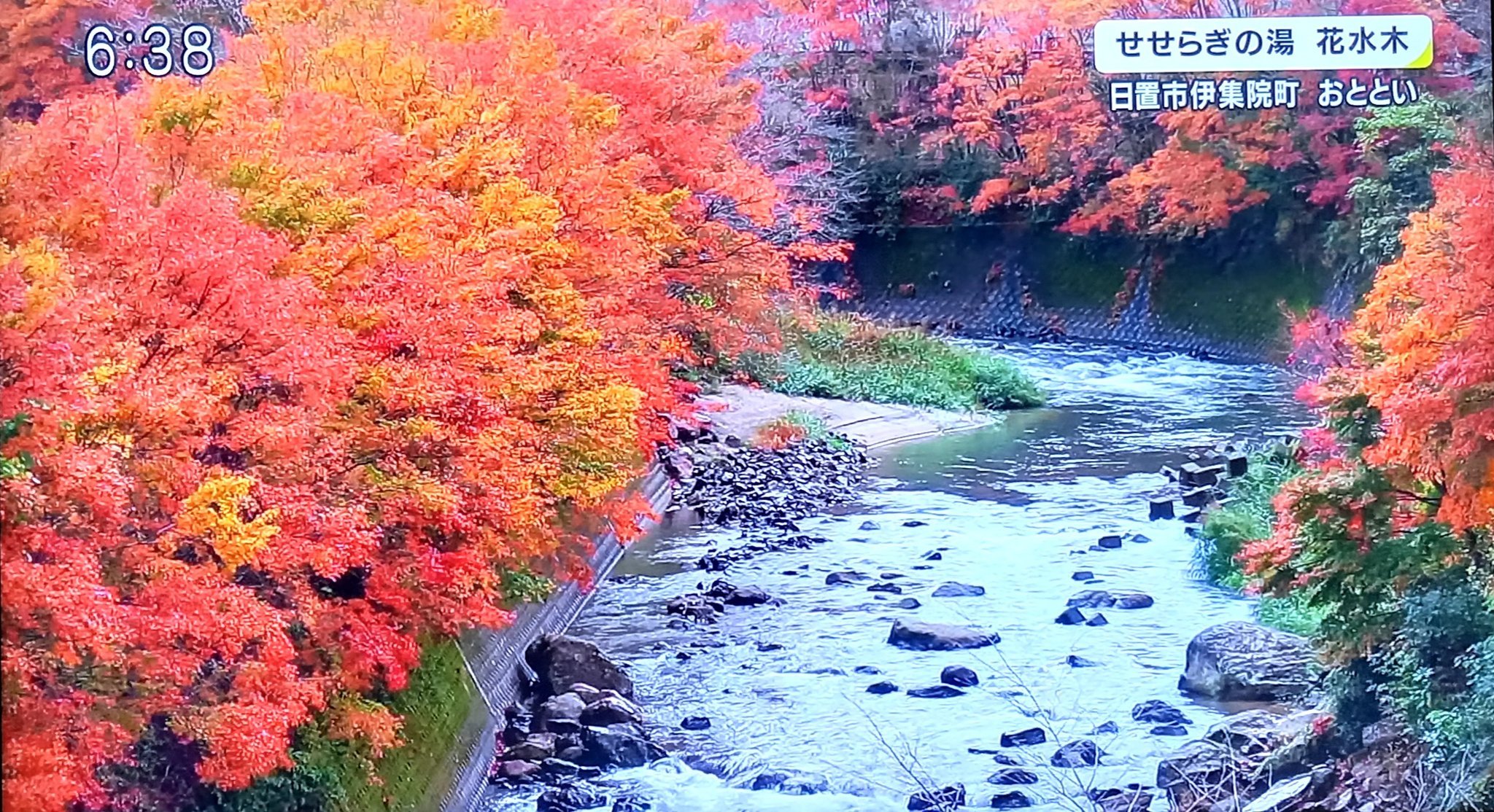 せせらぎの湯 Twitter Search Twitter