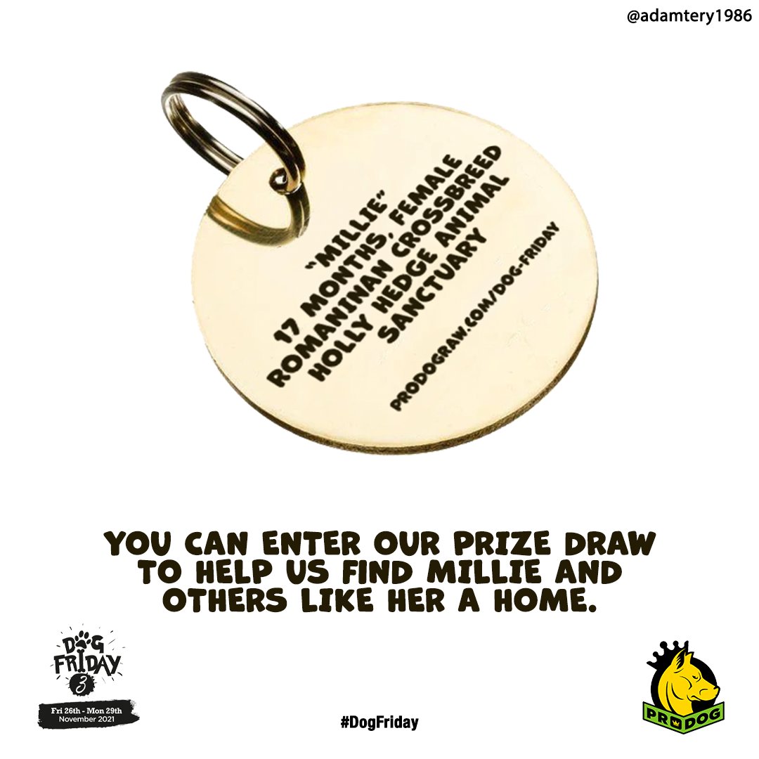 adamterry1986's tweet photo. Create posters to celebrate #DogFriday & promote the #UltimuttMegaDraw with @ProDogRaw @OneMinuteBriefs https://t.co/3tHgAXZuAL