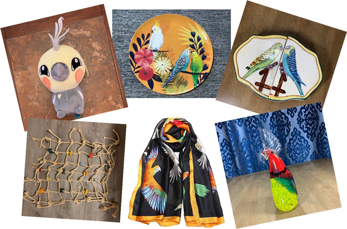 The Parrot Club is having our 1st ever online auction! All parrot and bird items!! It runs Nov 29 to Dec 3, but you can preview the items now. We're raising money to donate to parrot rescue, sanctuary, and conservation. We will ship anywhere in the world! 32auctions.com/TheParrotClub2…