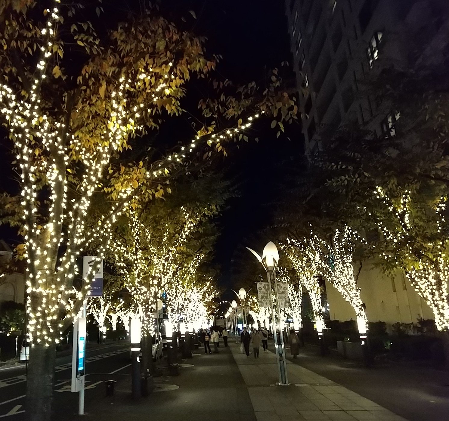 Twitter এ 神戸 まちガイド 神戸学マイスター ハーバーランド ガス燈通り のイルミネーション 柔らかな灯りのガス燈と共に 神戸の夜を美しく彩ります T Co Hitbuu6iem ট ইট র