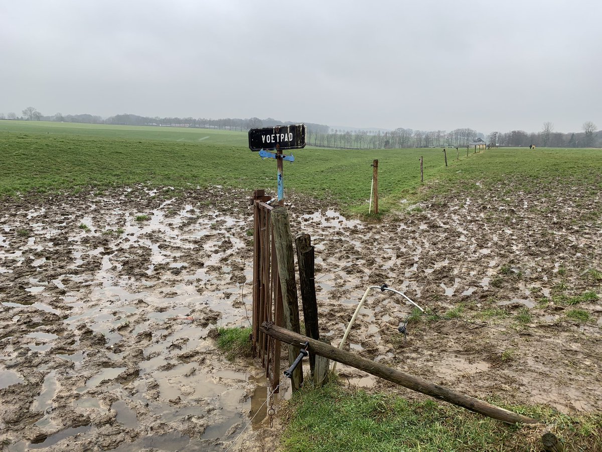Stannie Driessen tweet media