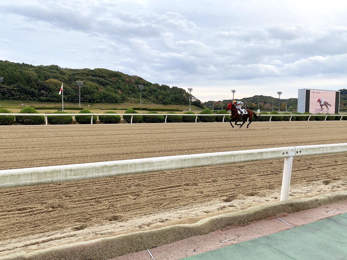 12/12更新🐴愛馬の現在地🐴

『北海道』愛馬の現在地

『白老町』
・ララフォーナ（繁殖牝馬）

『日高町』
・ママテイオーノユメ（繁殖牝馬）
・エーシンラピッド'21（牡０）

『新冠町』
・アザヤカサクラ'21（牡０）

『浦河町』
・カサマツノライトオ（牡２）
・タイセイボニータ'20（牝１）  