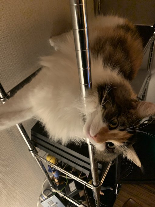 ナランチャーっ! 