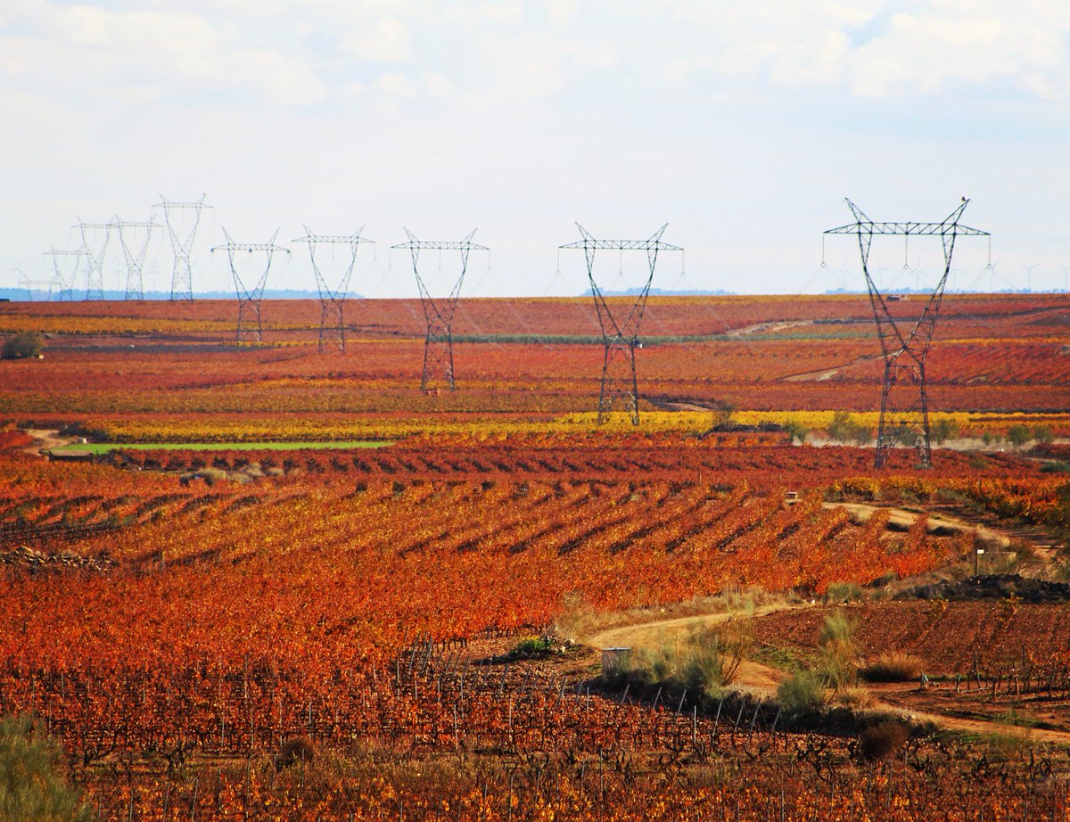PatrimonioRioja's tweet photo. ¡¡¡No me cablees!!! (Más)
Los paisajes del Rioja en otoño entre Alfaro y Aldeanueva de Ebro. https://t.co/ChXBmFl5PC