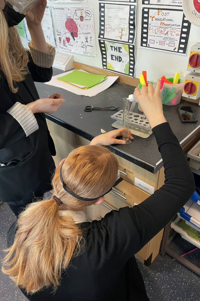 BoclairBiology's tweet photo. Higher biologists were consolidating their knowledge of enzymes today by investigating the effect of catalase on different tissue types 🥼🍎 #bioisbest https://t.co/FNSBUB56TZ