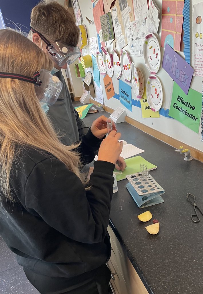 BoclairBiology's tweet photo. Higher biologists were consolidating their knowledge of enzymes today by investigating the effect of catalase on different tissue types 🥼🍎 #bioisbest https://t.co/FNSBUB56TZ