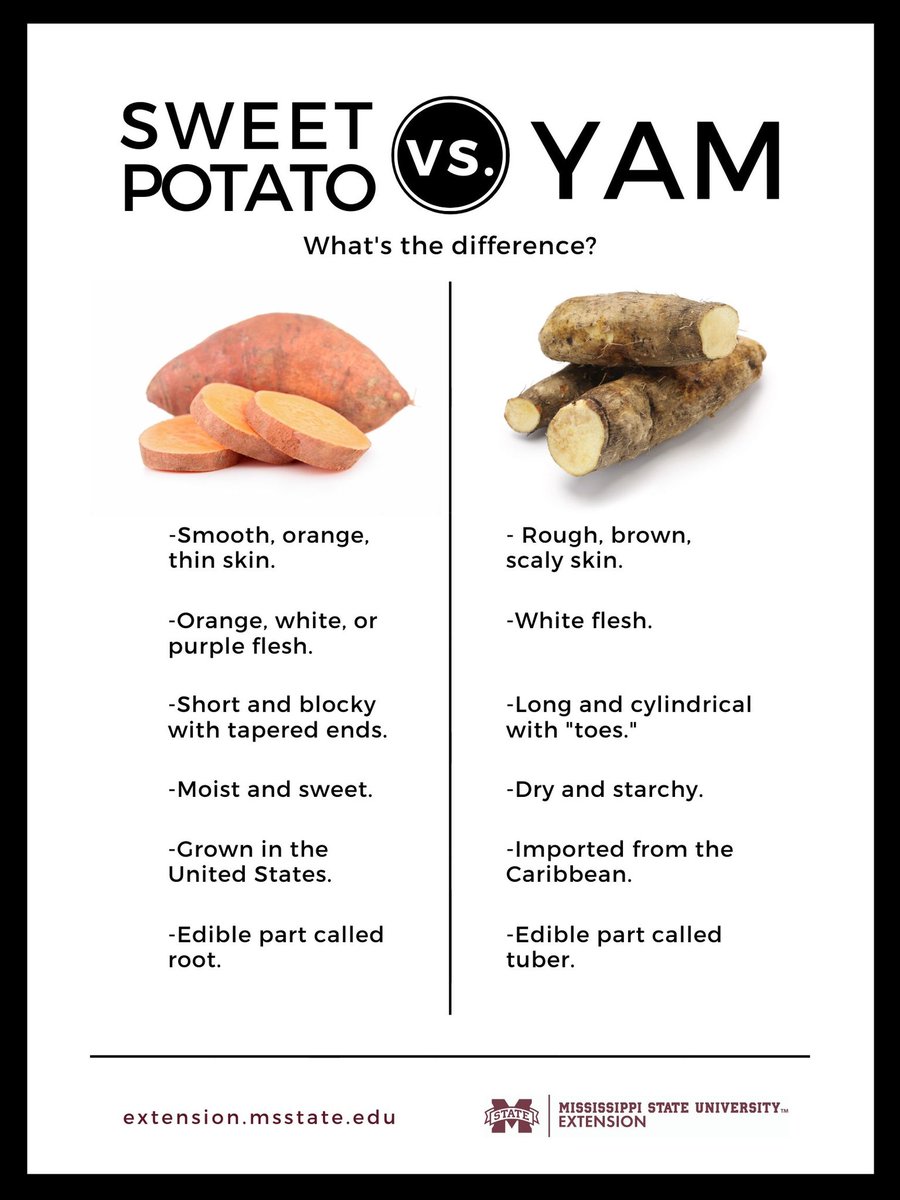 What’s crazy is that yams &amp; sweet potatoes are not the same thing. 😭 this messed me up