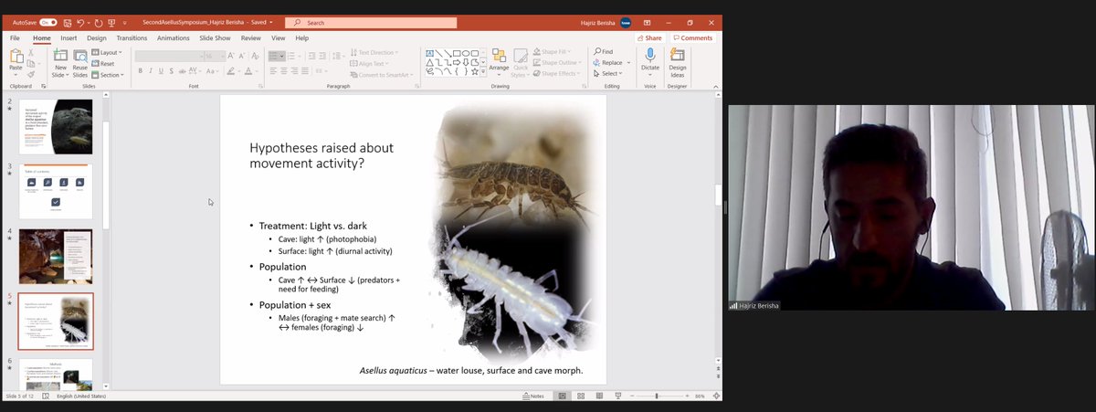 TheAsellus's tweet photo. #HajrizBerisha on behavioural activity of #asellus in a food abundant and predator-free cave habitat | #asellussymposium https://t.co/qhEIcC98jP
