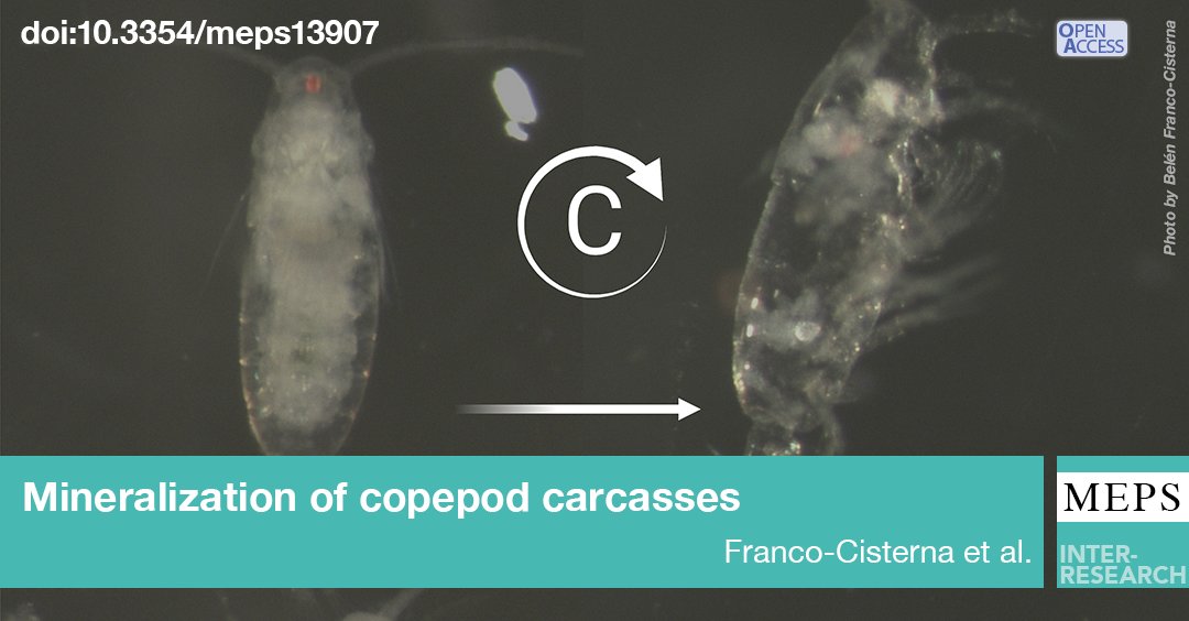 Marine Ecology Progress Series (MEPS) tweet media