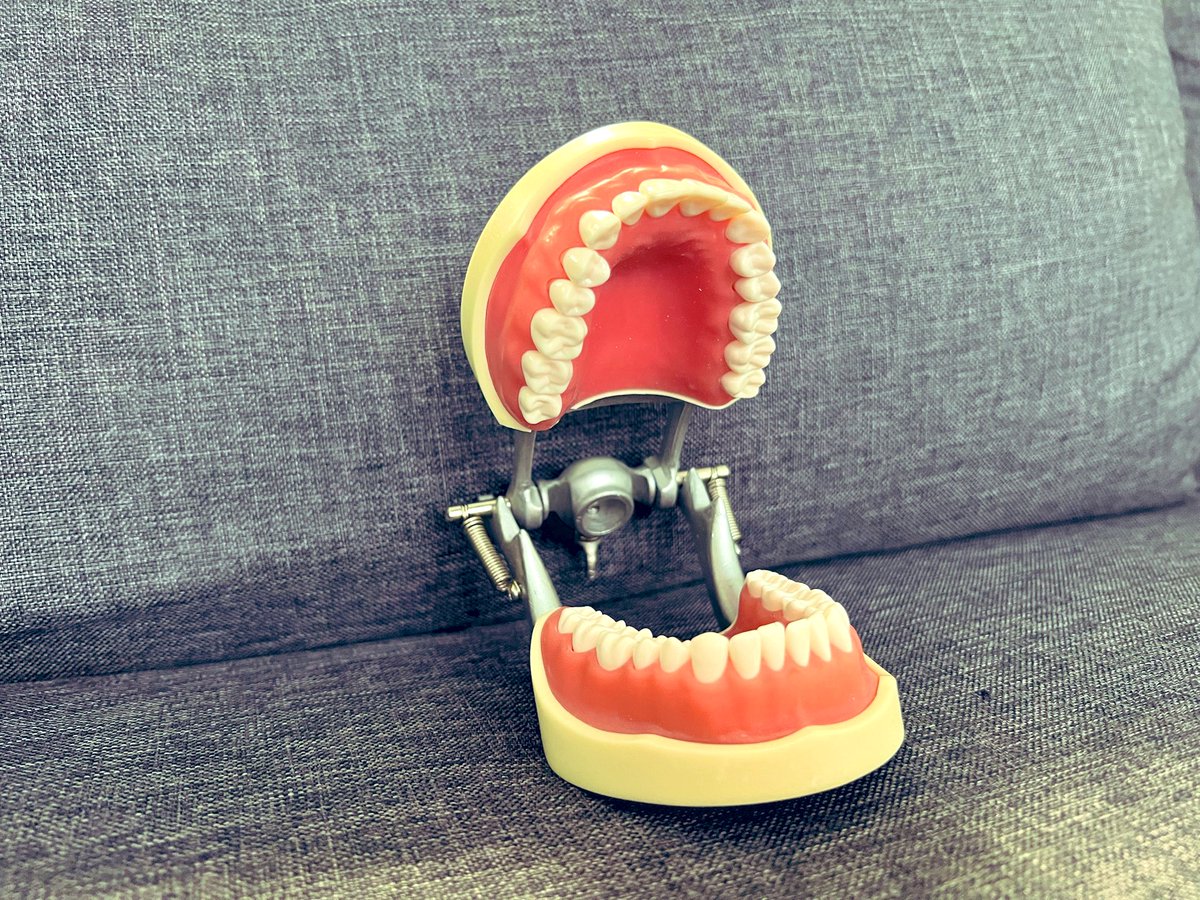 AxelTelzerow's tweet photo. Heute auf der #Testcouch: Und als Vorbereitung für den nächsten Zahnbürsten-Test - das neue Gebiss von @StuermerTimur 😉🚀 https://t.co/kNinH811uS