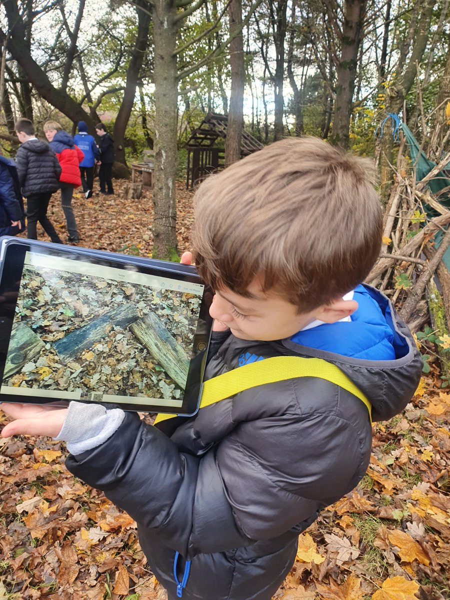 DreghornPrimary's tweet photo. Primary 6 used the Woodland Walk to go on an angle hunt. They created their own angle art using protracters to measure and draw angles. #angleart #learningoutdoors https://t.co/E4ErWOgXtG