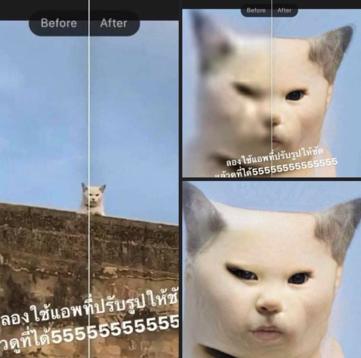 อ้าว⛱️ tweet media