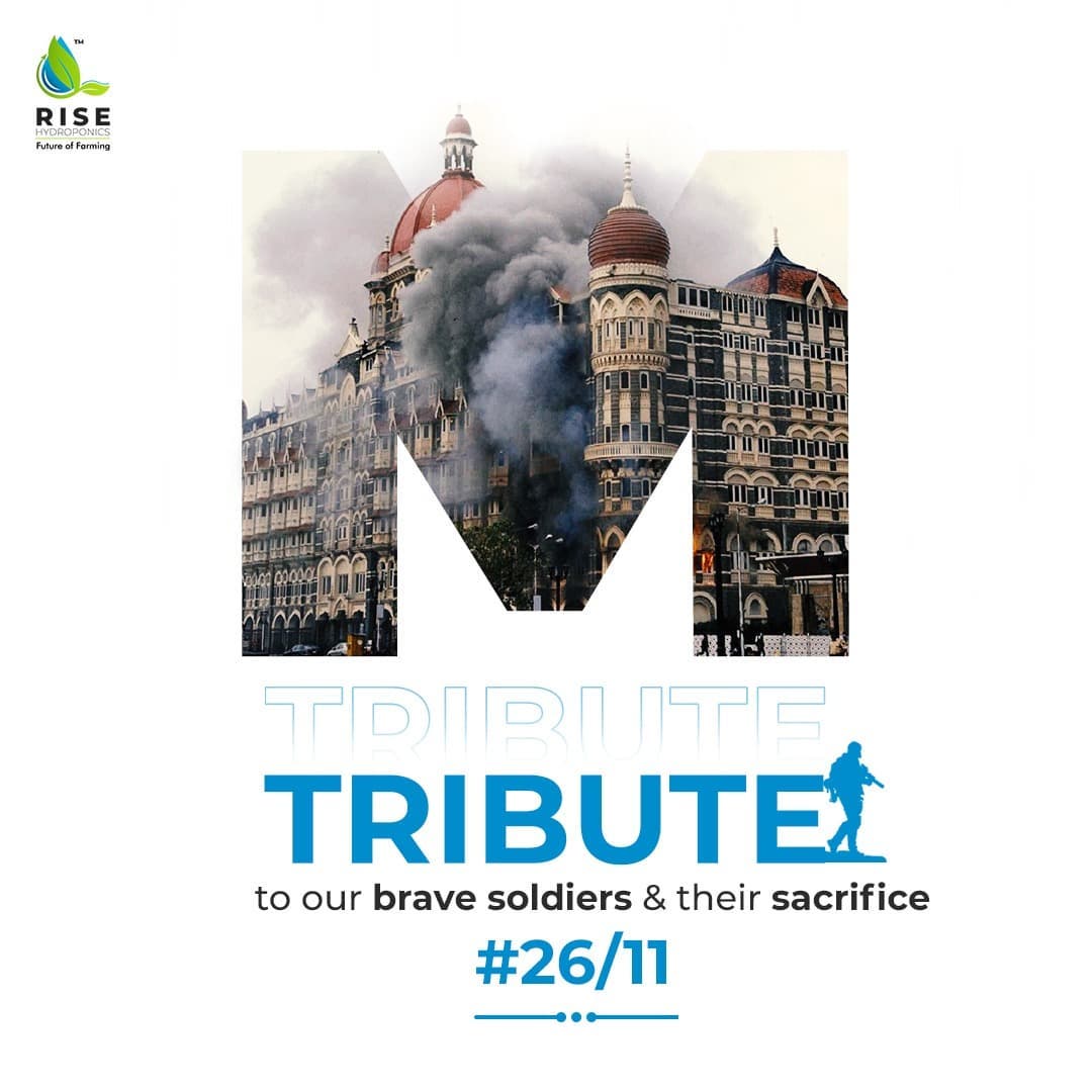 RiseHydroponics's tweet photo. A big Tribute to our Real Heroes for their sacrifice &amp; courage. 

Our brave-hearts will never be forgotten

#risehydroponics
#martyrs
#indiawithmartyrs #bravehearts #army #mumbaiterrorattack  #mumbai2611 #mumbai2611tribute #mumbai2611attacks #2611mumbaiattacks https://t.co/99ezoeKMwu