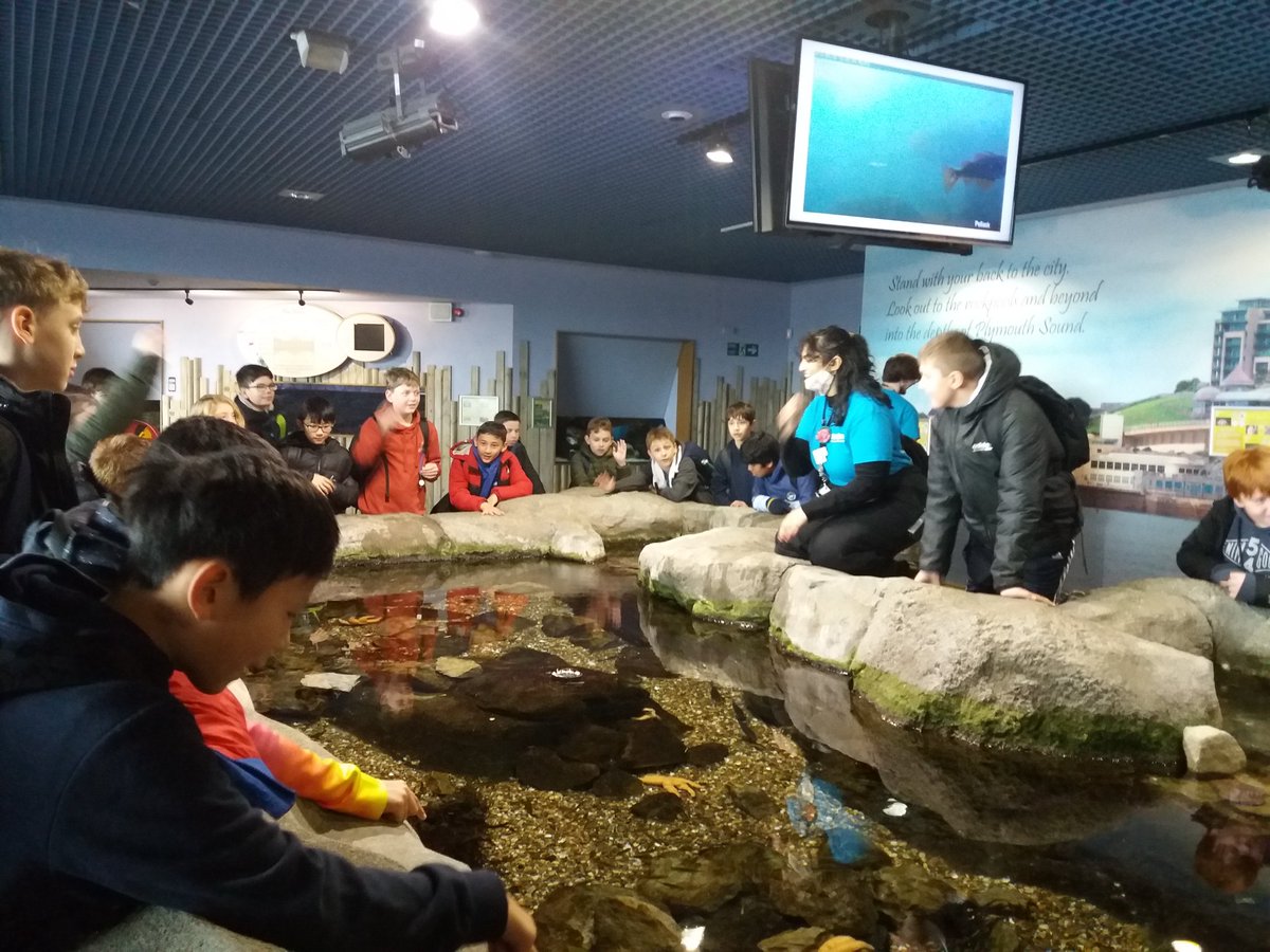 AsquithSue's tweet photo. 7C exploring the aquarium #dhsbccw https://t.co/CtA3GnmotK