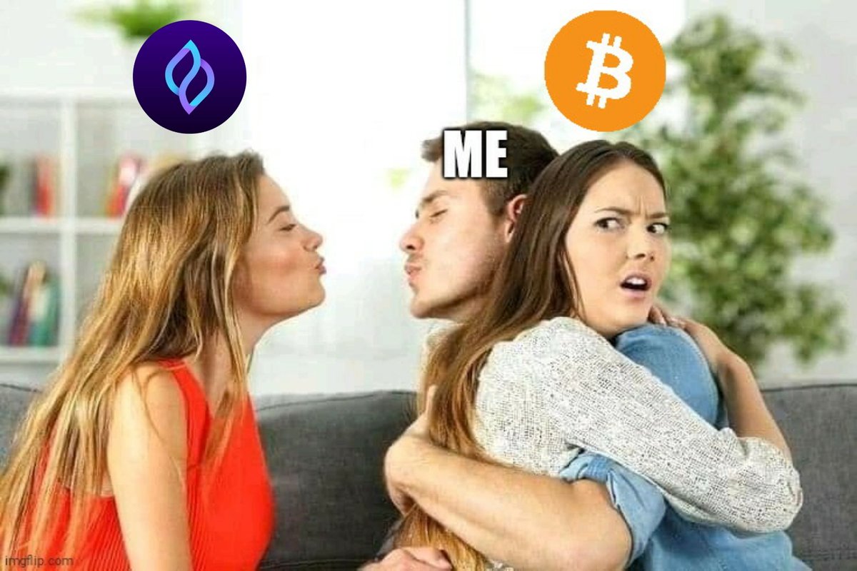 arlanciari's tweet photo. @SeedifyHODLers 
#SFUND #Seedify #BSC #SFUNDMeme https://t.co/KLFbW6IvQ8