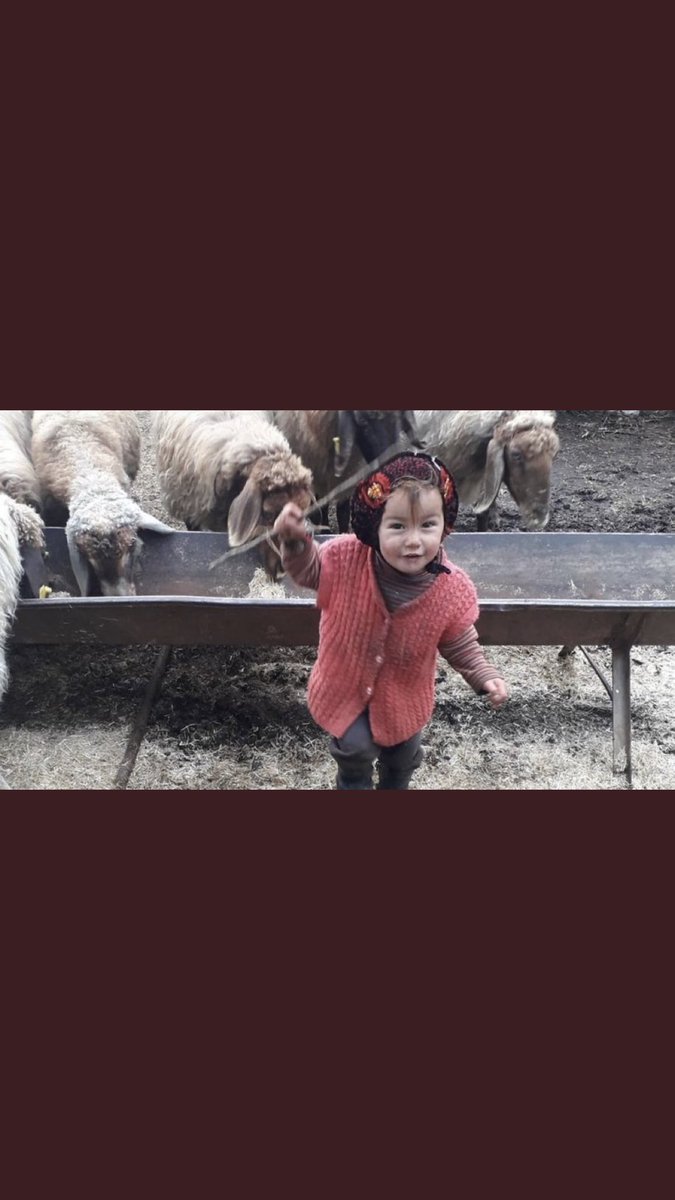 ozgeklft83's tweet photo. #müslüme allahda belanızı versin inşallah https://t.co/5i1mC6R0sX